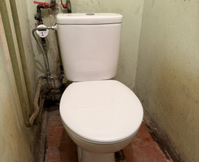 Toilet replacement